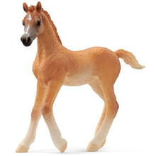 Schleich 13984 Arabialainen Varsa