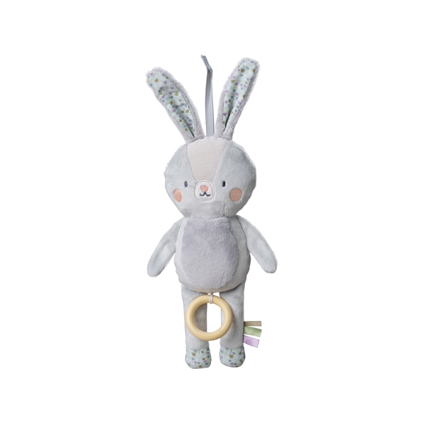 Taf Toys Rylee Musical Bunny (Kuva 1 tuotteesta 6)