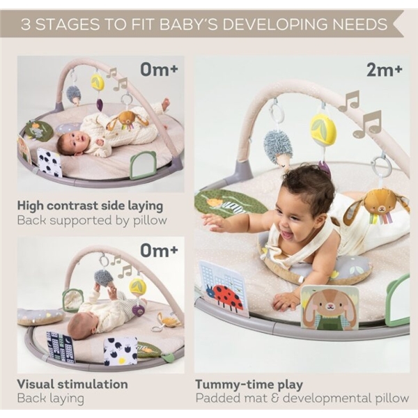 Taf Toys Tummy-Time Activity Gym (Kuva 3 tuotteesta 4)