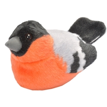 Punatulkku