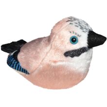 Närhi